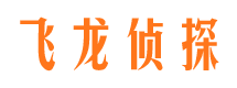 开平调查公司